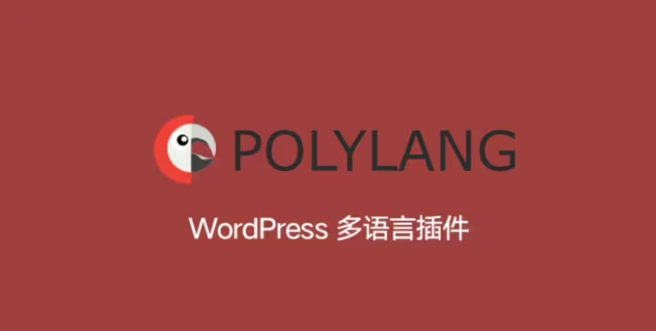 Polylang Pro – WordPress 网站多语言插件-剑去主题